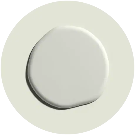 Mellow Tint Paint