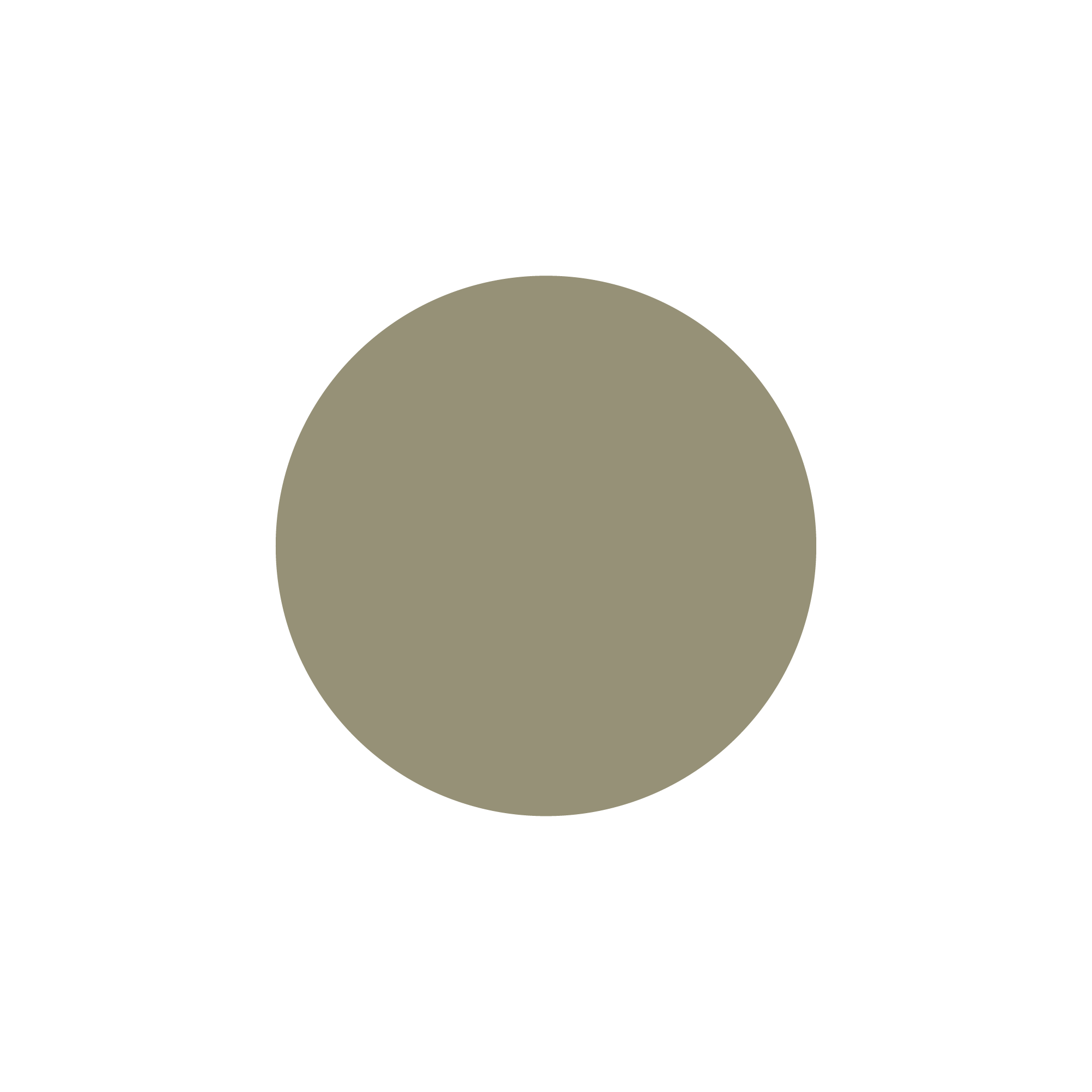 Meteorite
