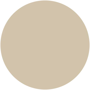 Mushroom Cream