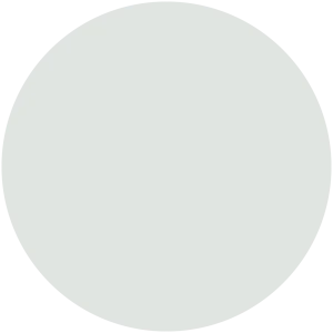 Winter Gray
