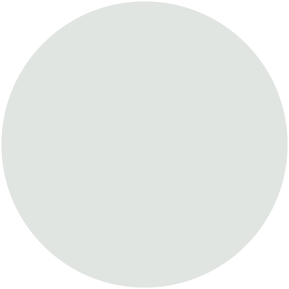 Winter Gray