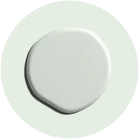 Paint Colour: Botanical Tint
